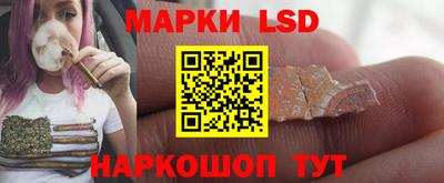 спиды Шебекино