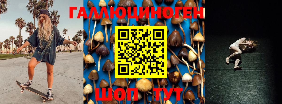 Новодвинск  Псилоцибиновые грибы Psilocybine cubensis  Вход с VPN 